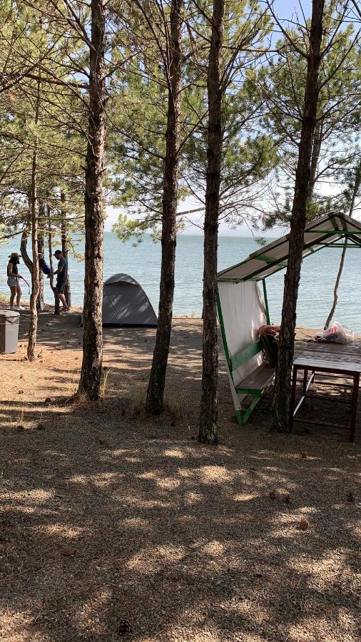 Zhayr Resort & Dive Drakhtik ภายนอก รูปภาพ